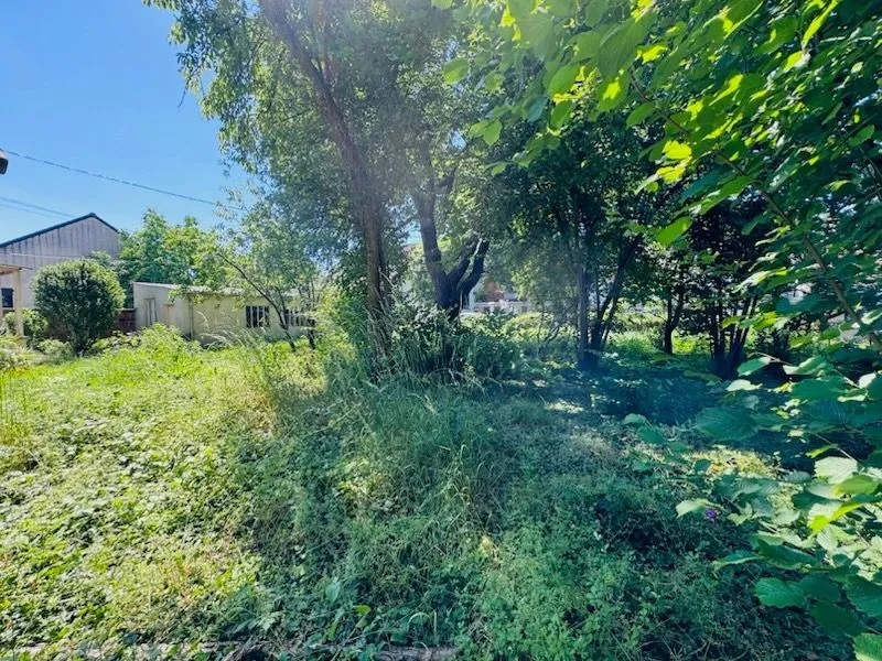 Jardin - Maison avec Jardin Arboré à Chelles