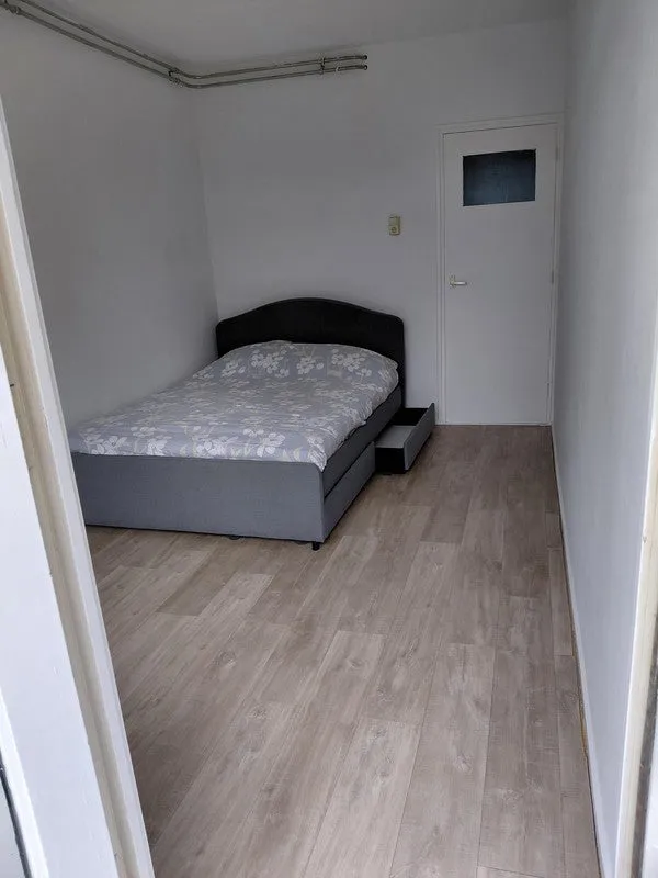 Magamistoad - Apartment with Balcony in Amsterdam Zuid