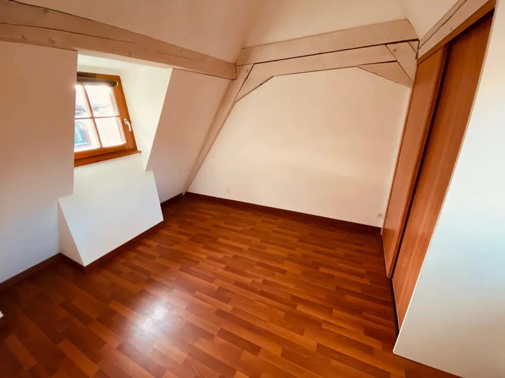 Toad - City Centre Duplex Apartment in Obernai