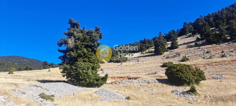 Agricultural Plot with Panoramic View in Arachova