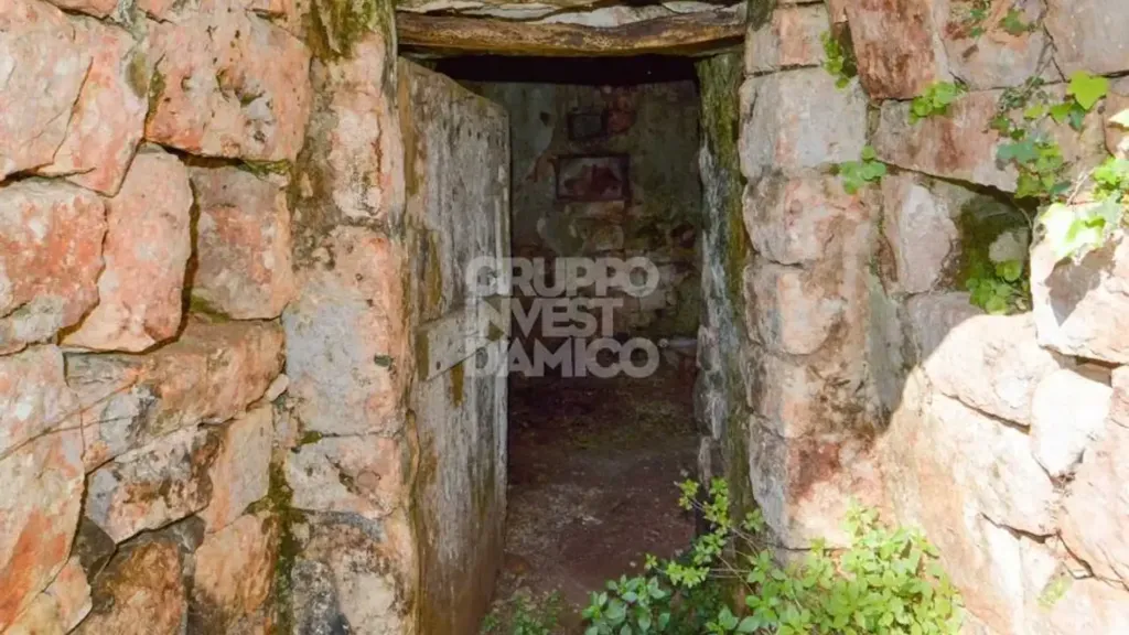 Aed - Traditional Trullo with Land in Ostuni