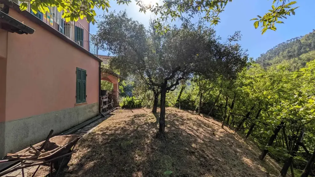 Jardin - Rustic House with Garden in Borghetto Vara