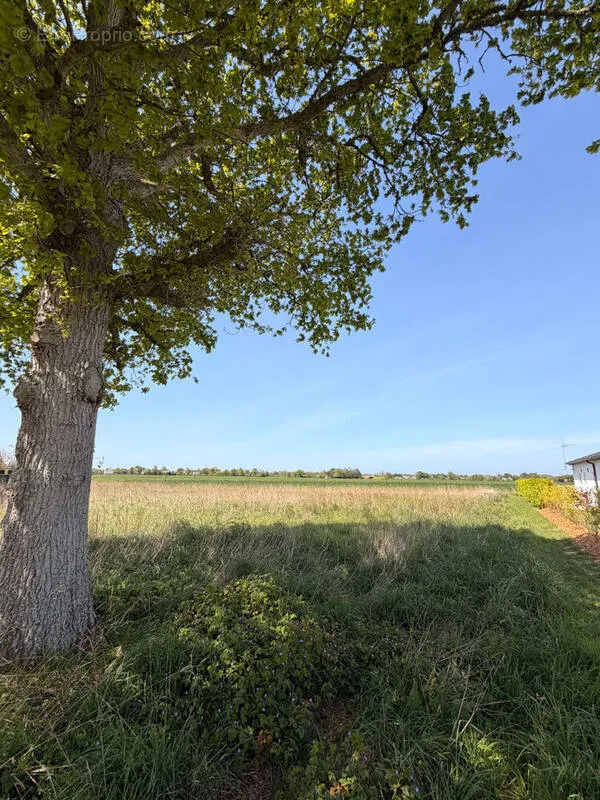 Aed - Constructible Plot with Garden in Saint-Alban