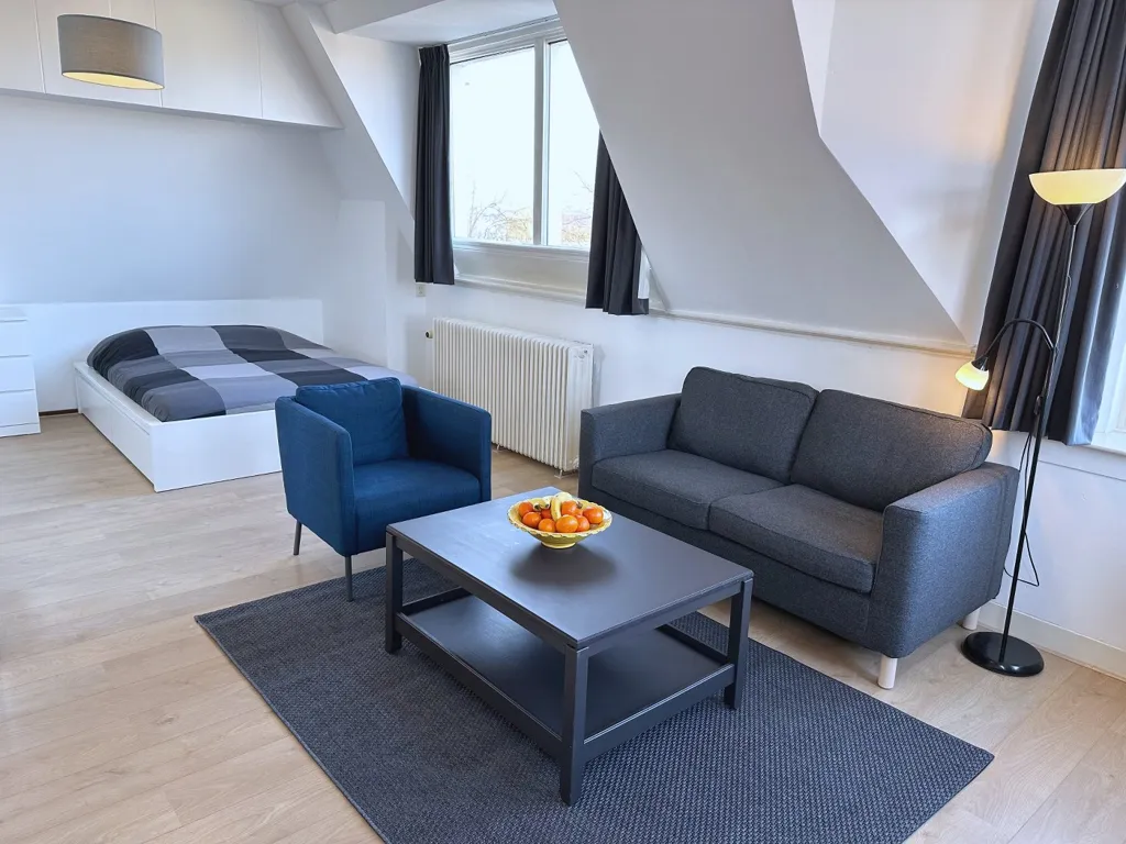 Séjour - Studio with Private Kitchen in Kralingen, Rotterdam