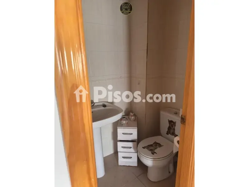 Vannitoad - Penthouse with Terrace in Torre del Campo