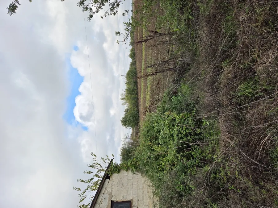 Aed - Warehouse Complex in Karditsa