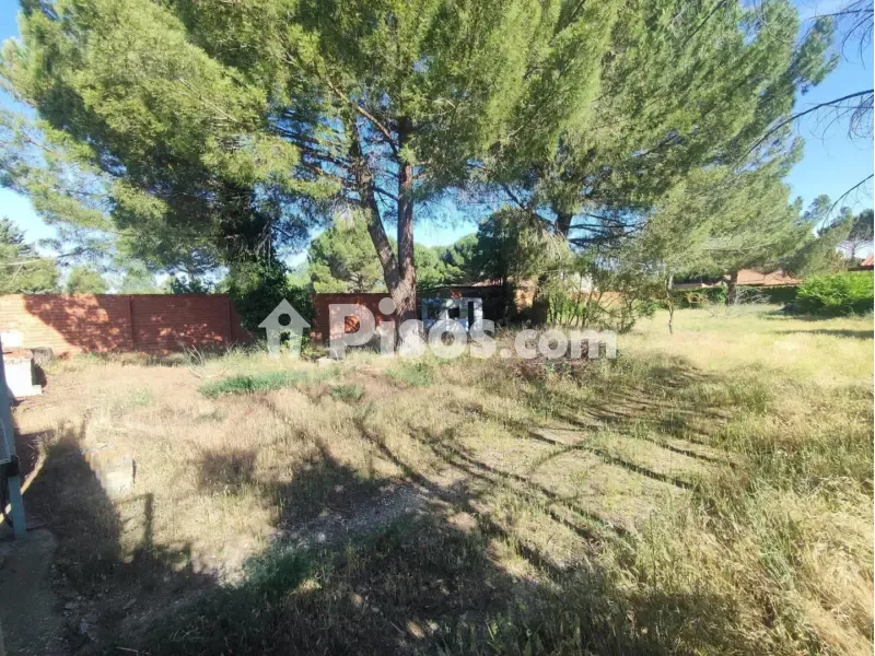 Giardino - Chalet with Pool in Traspinedo