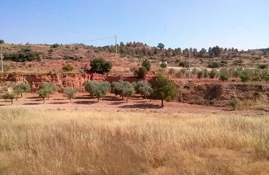 Giardino - Land Parcel in Romana, Alicante