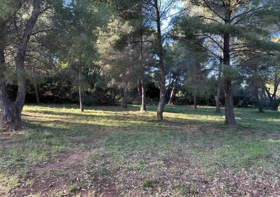 Terrain à Ollioules