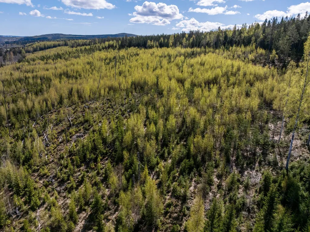 Giardino - Unbuilt Land with Forest in Sundsvall