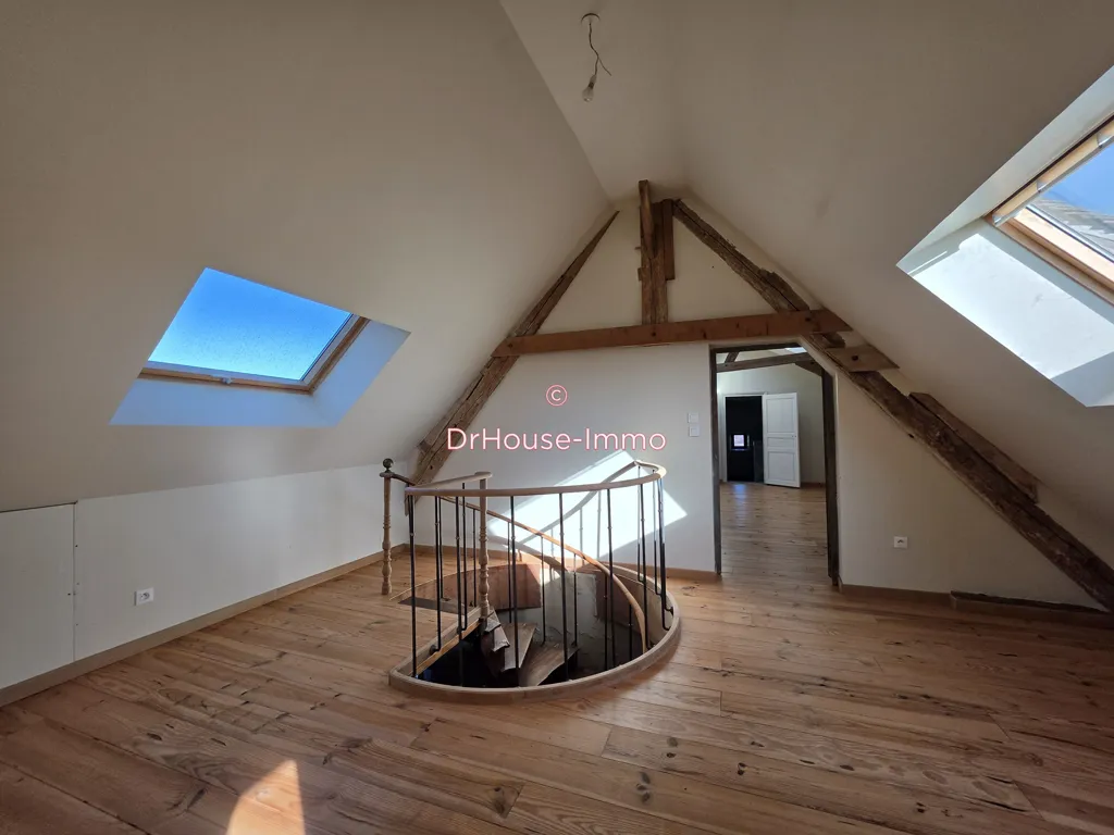 Toad - Country House with Equestrian Facilities in Ceton