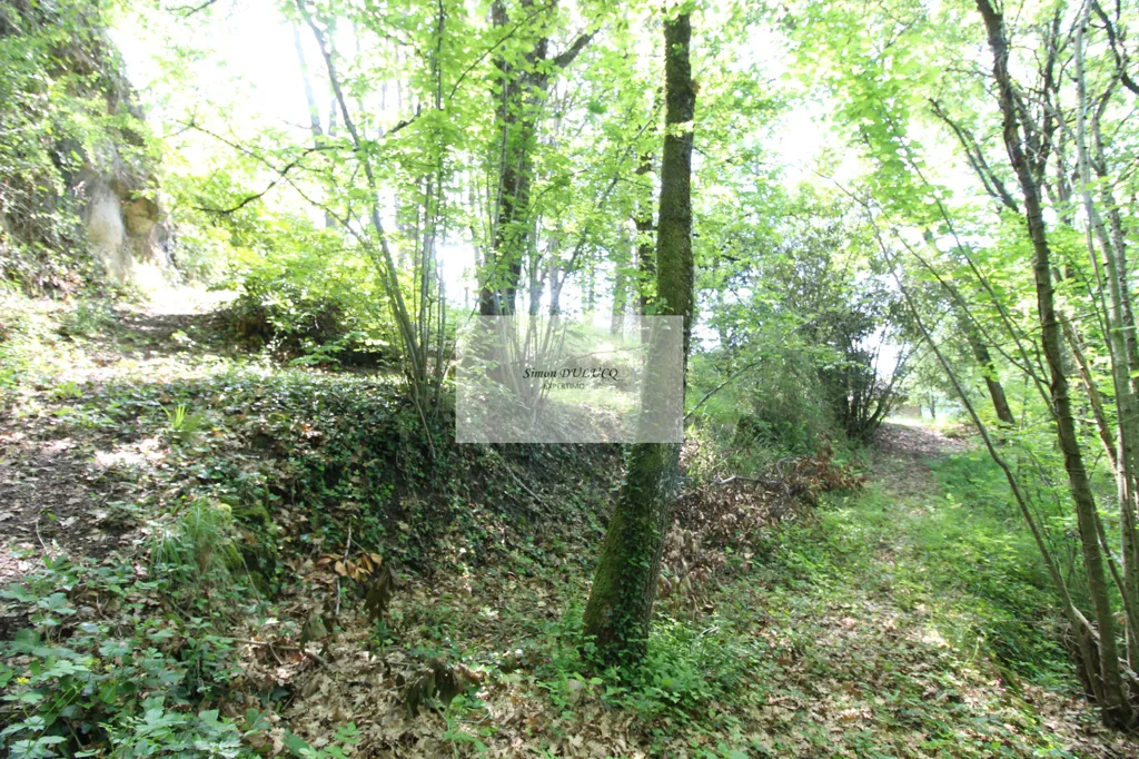 Jardin - Terrain à Bâtir avec Vue à Saint-Affrique