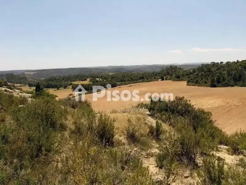 Aed - Rustic Hunting Estate in Alcañiz
