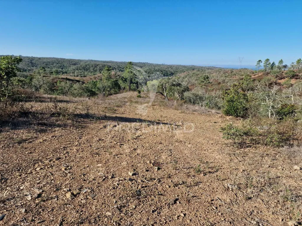 Jardin - Ruin with Construction Potential in São Francisco da Serra