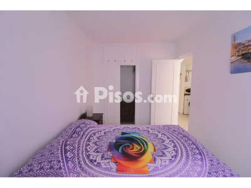 Chambres - Bungalow with Private Garden in Lomas Altas