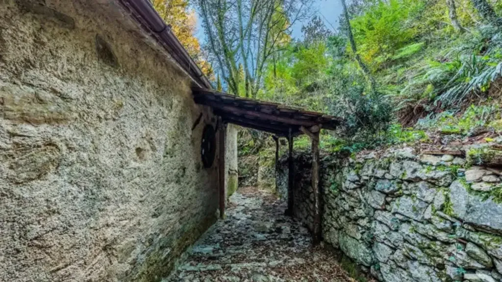 Aed - Restored Millhouse with River View in Camaiore