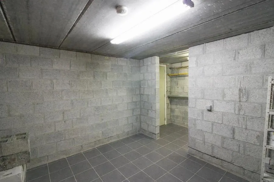 cellar
