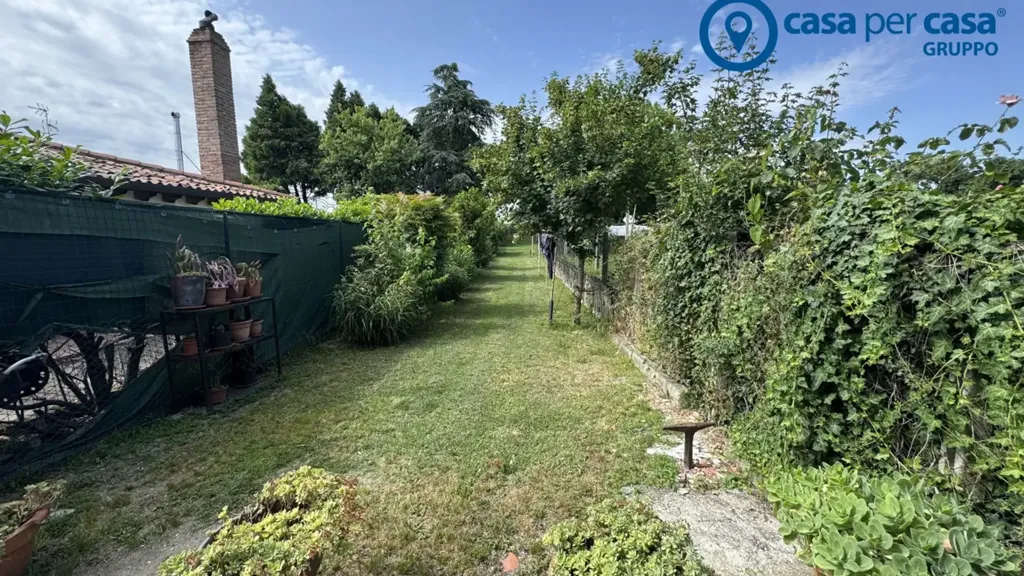 Jardin - Trifamiliare Villa with Garden in Bosaro