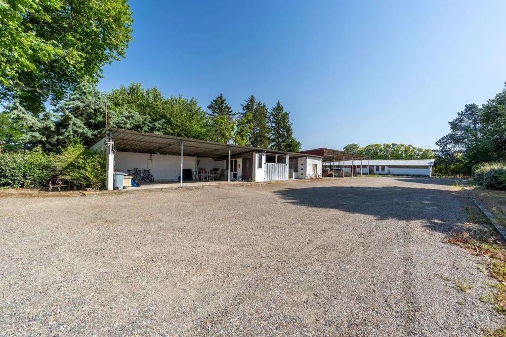 Extérieur - Ferme Lauragaise avec Piscine à Belberaud
