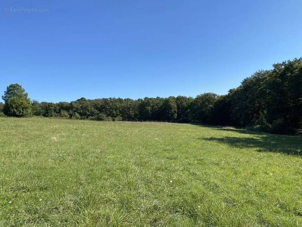 Jardin - Propriété Contemporaine avec Parc à 8 km de Châtellerault