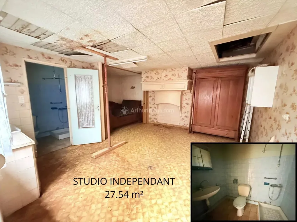 Vannitoad - Renovated House with Studio in Neufchâteau