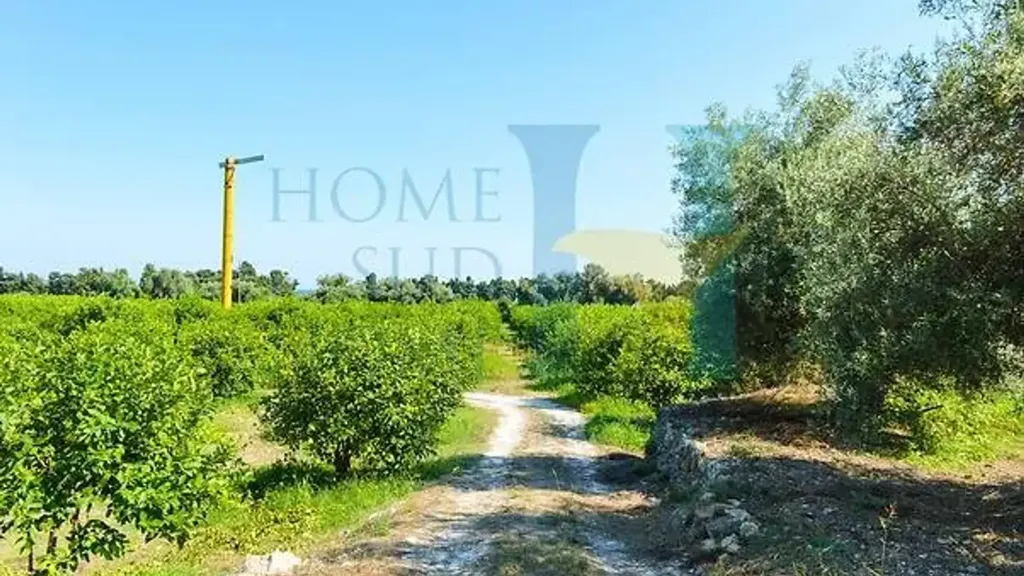 Aed - Warehouse with Lemon Grove near Avola