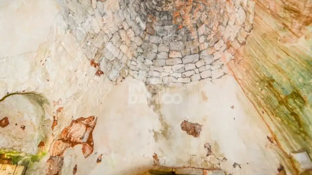 Toad - Traditional Trullo with Land in Ostuni