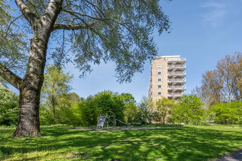 Jardin - Corner Apartment with Green Views in Haarlem
