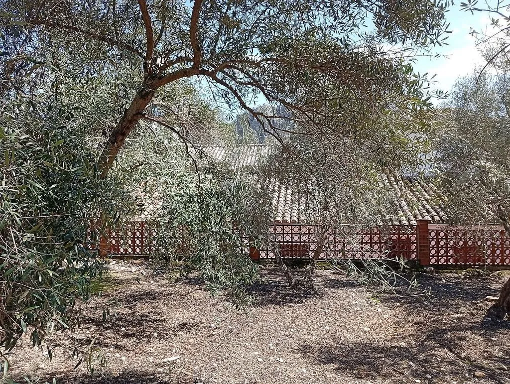 Giardino - Charming House with Mountain View in Montejaque