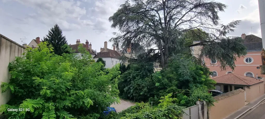 Jardin - Appartement Haussmannien avec Jardin au Centre de Chalon-sur-Saône