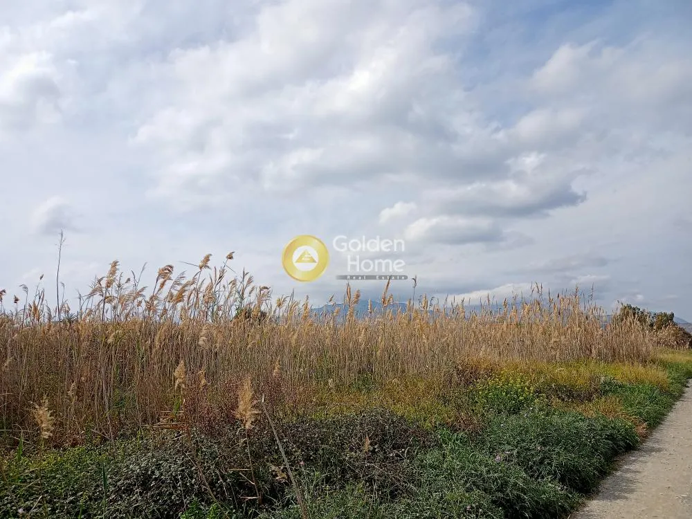 Garden - Beachfront Plot with Sea View in Afrotia