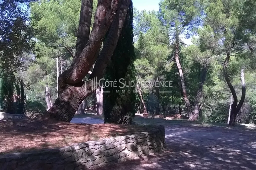 Giardino - Villa with Pool and Views near Carpentras