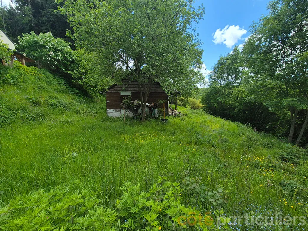 Jardin - Terrain avec Chalet à Rénover au Lac de Pont-de-Salars