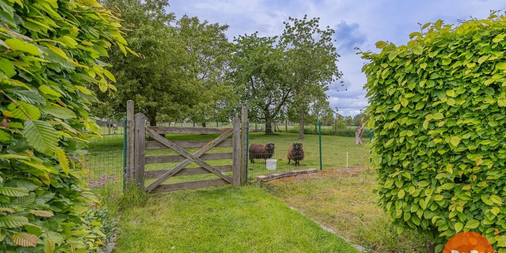 Aed - Open Plan House with Garden in Aaigem