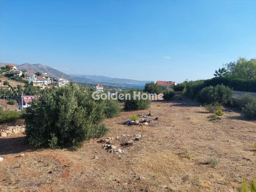 Jardin - Plot with Sea View in Nea Makri