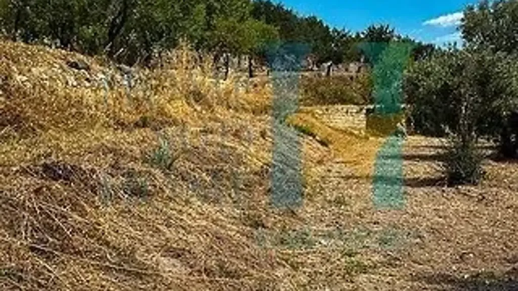 Garden - Land in IT