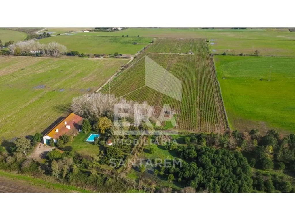 Vue aérienne - Luxury House with Agricultural Land in Benfica do Ribatejo
