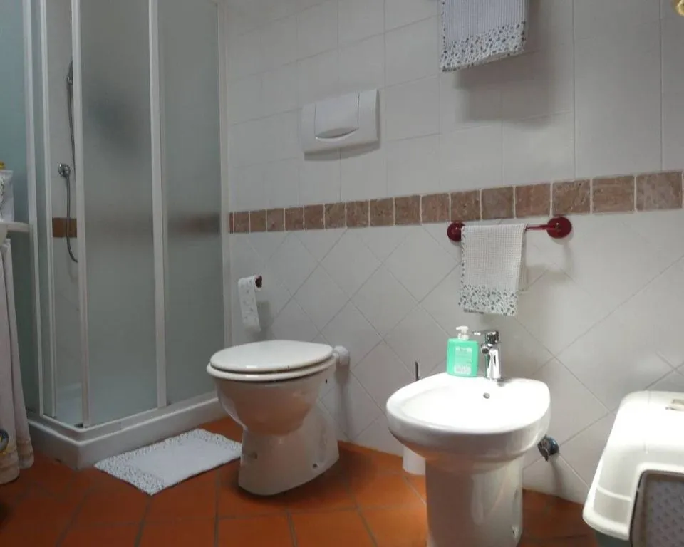 Salles de bain - Luxury Villa with Private Garden in Due Carrare