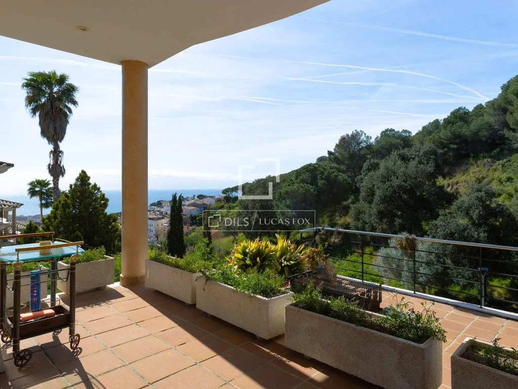 terrace_patio