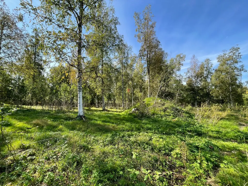 Aed - Villa Plot with Scenic Views in Älvdalen