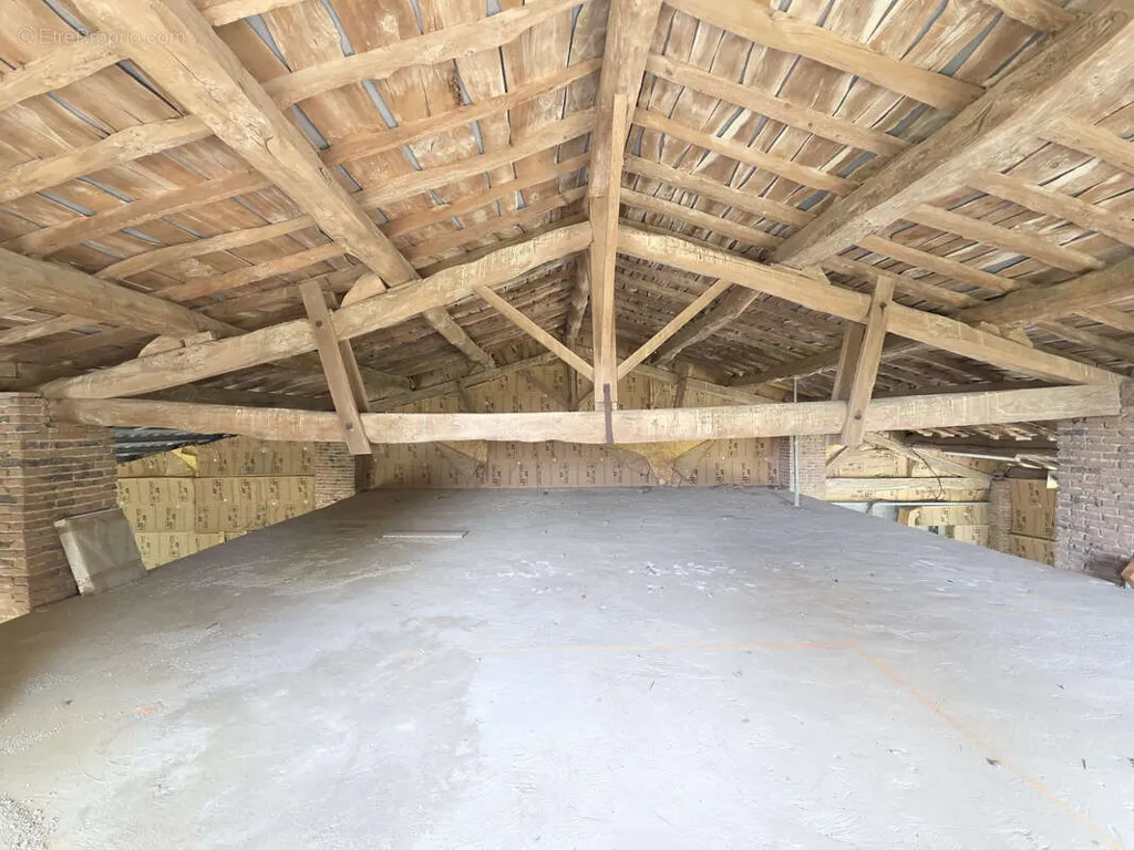 Toad - Charming Property with Golf Access in Dremil-Lafage
