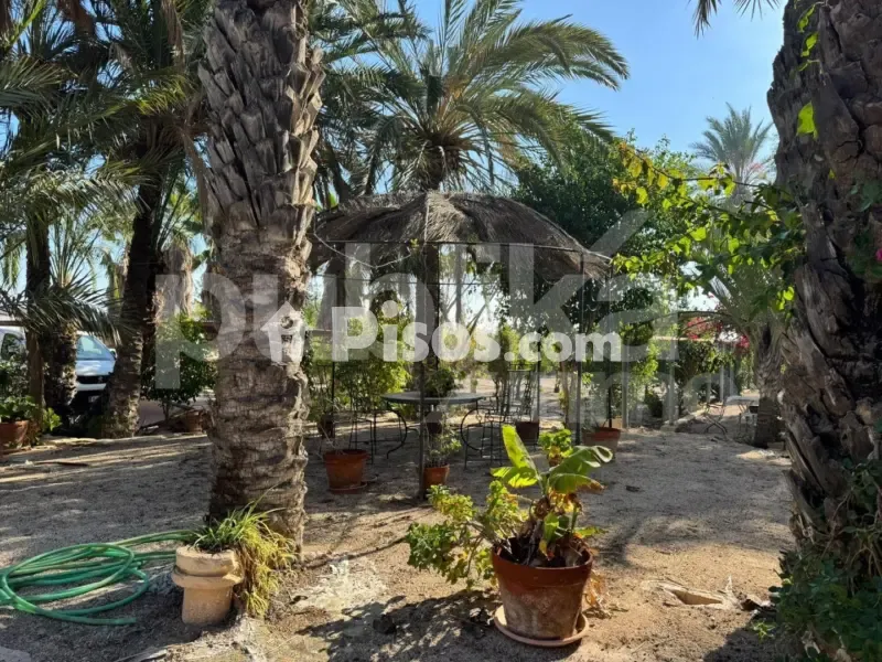 Jardin - Historic Villa with Archaeological Setting in Elche