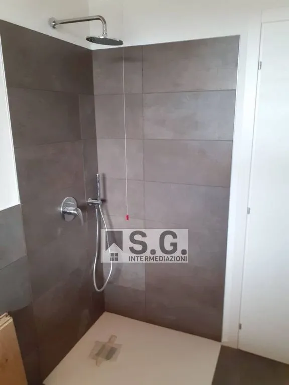 Vannitoad - Luxury Villa with Private Garden in Mirano