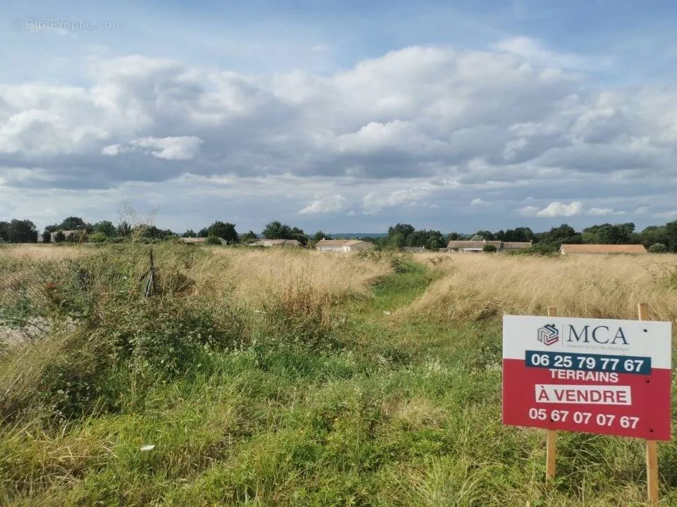 Aed - Buildable Plot with Garden View in Auros