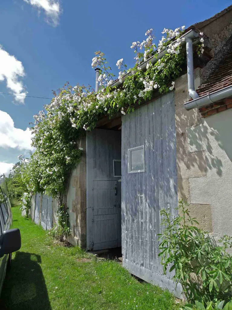Jardin - Fermette avec deux logements et jardin à Laféline