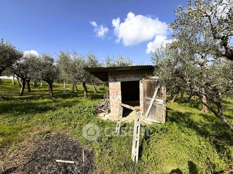Garden - Rustic Farmhouse with Garden in Loro Piceno