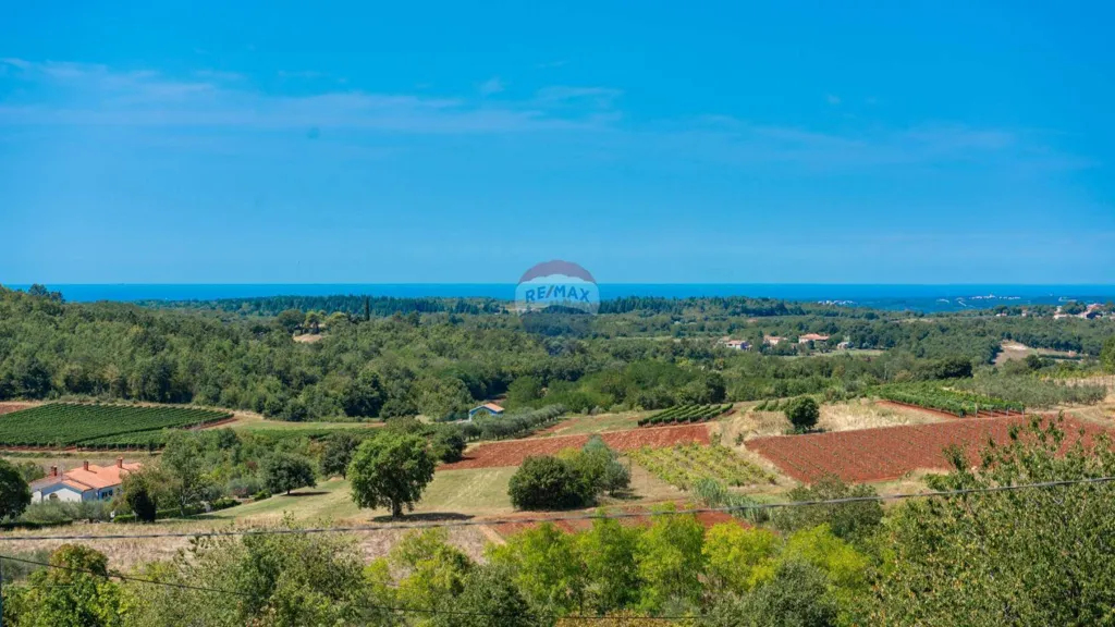 Jardin - Luxury Villa with Infinity Pool in Vižinada