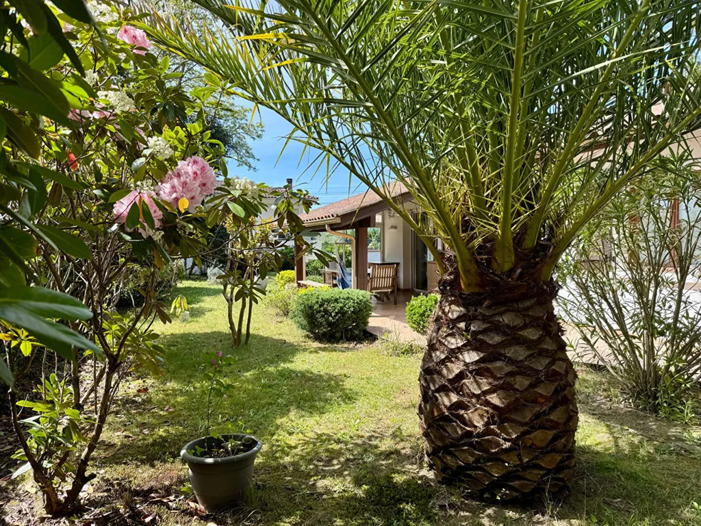 Jardin - Maison Traditionnelle avec Jardin en Environnement Calme