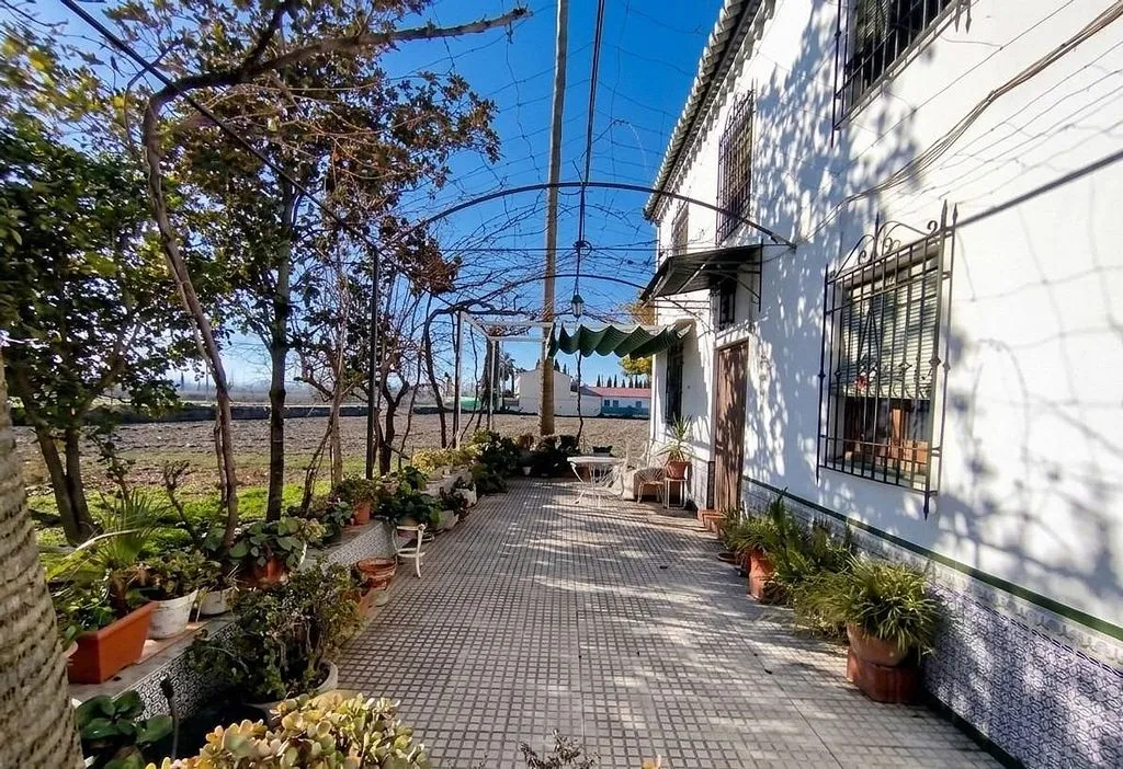 Jardin - Traditional Andalusian Chalet with Patio in Granada