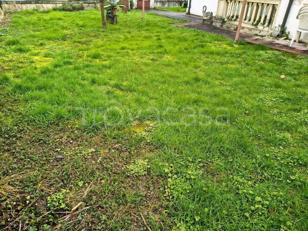Aed - Characterful Villa to Restore with Garden in Padova